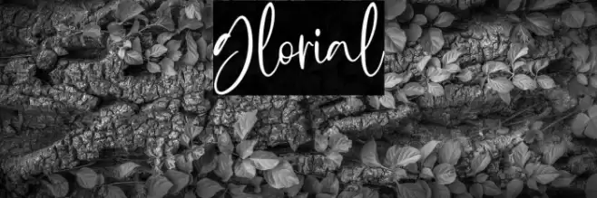 Glorial Font examples