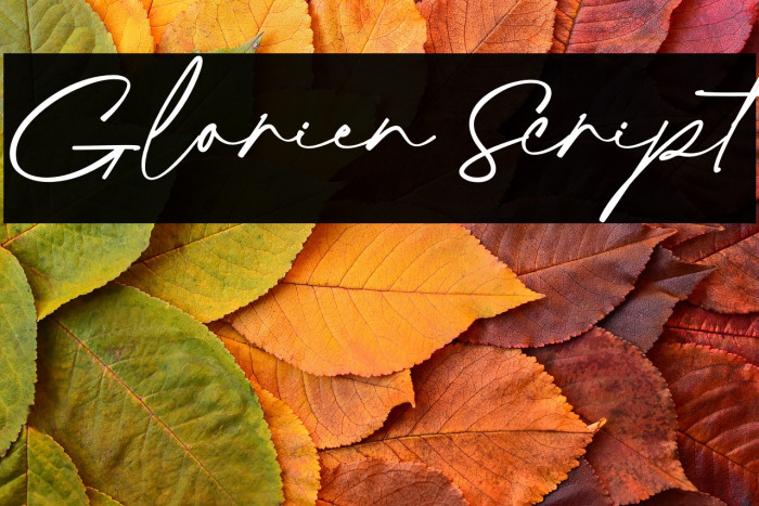 Glorien Script Example 3