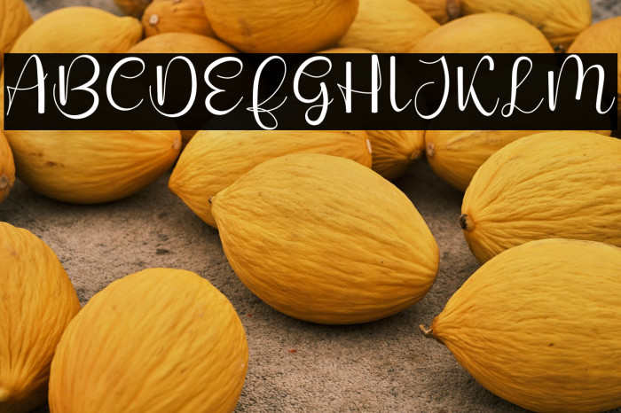 Glorihouse Example 2