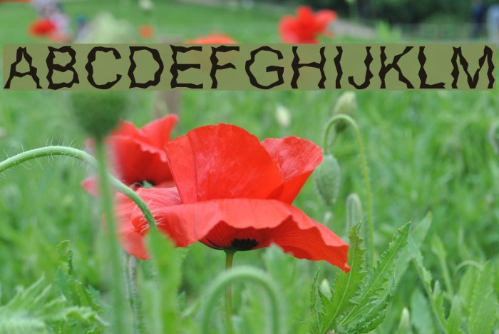 Glorija and theSmiths Font examples