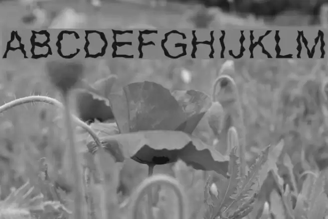 Glorija and theSmiths Fonte examples