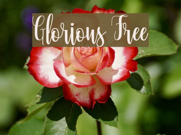 Glorious Free Font examples