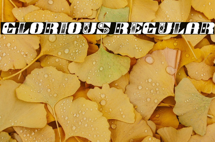 Glorious Regular Example 3