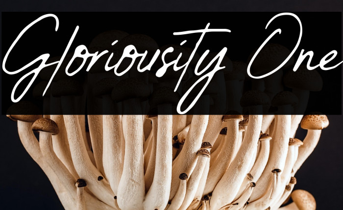 Gloriousity One Example 1