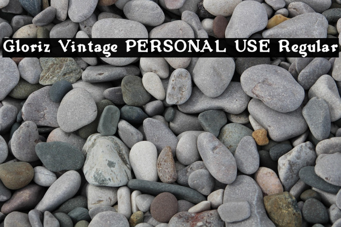 Gloriz Vintage PERSONAL USE Regular Example 1
