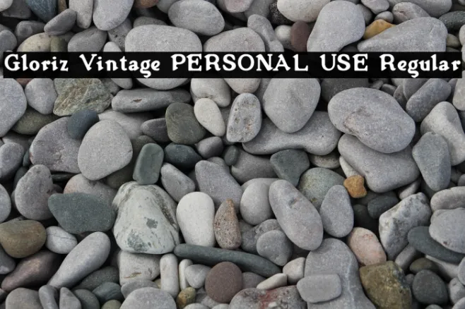 Gloriz Vintage PERSONAL USE Regular Example 1