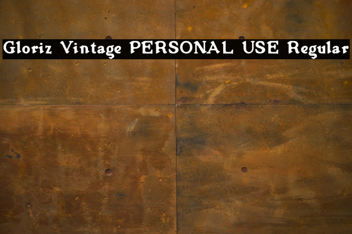 Gloriz Vintage PERSONAL USE Regular Example 3