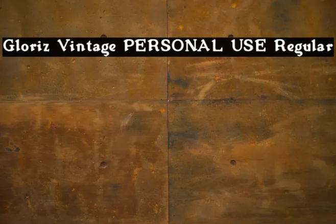 Gloriz Vintage PERSONAL USE Regular Example 3