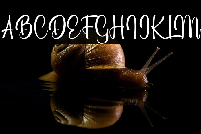 Glory Signature Personal Use Example 2