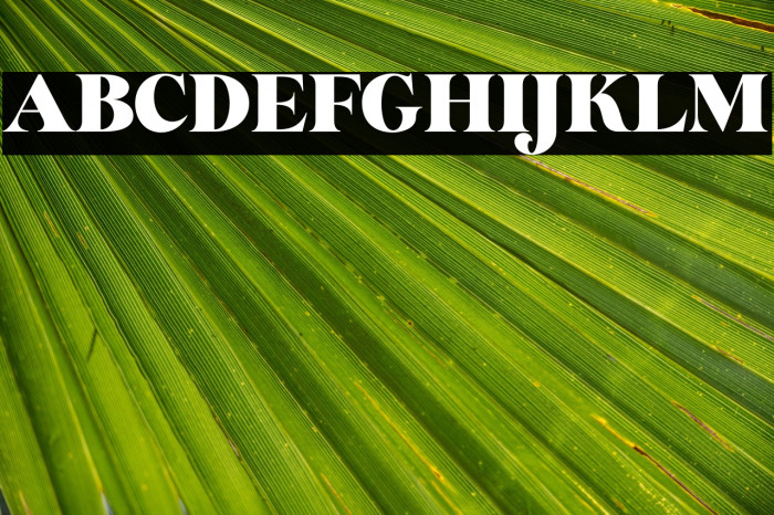 Glory Sunshine Example 3