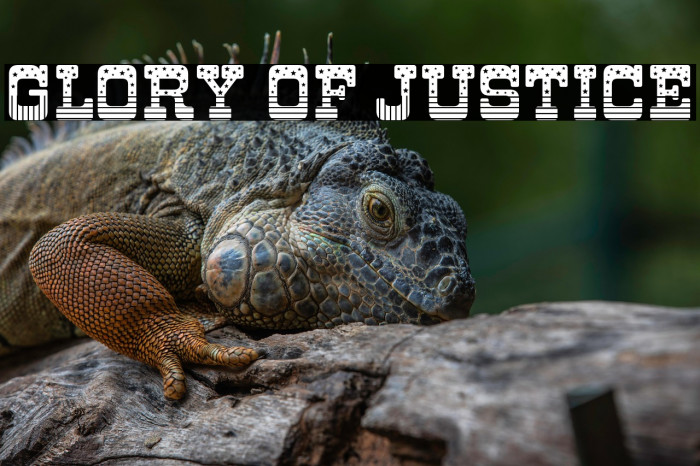 Glory of Justice Example 1