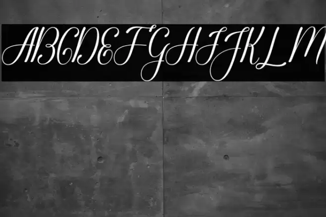 Glorylove Polices examples