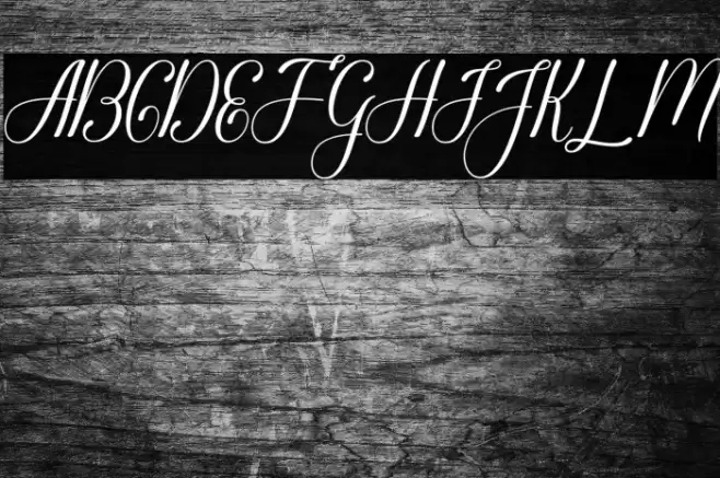 Glorylove Polices examples