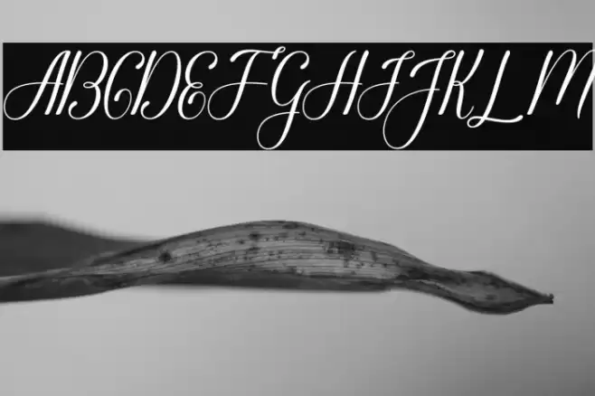 Glorylove Font examples