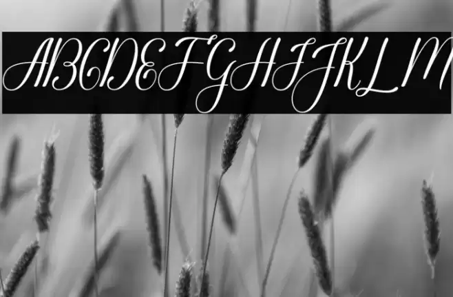 Glorylove Font examples