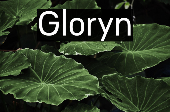 Gloryn Example 3