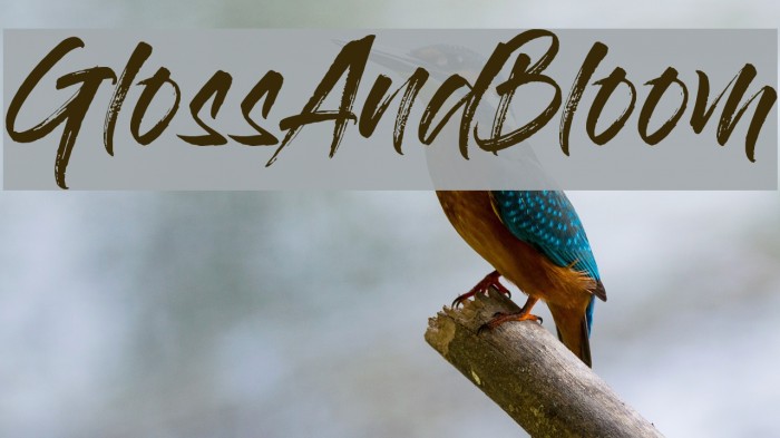 GlossAndBloom Font examples