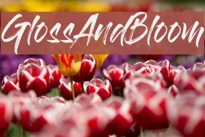 GlossAndBloom Example 2