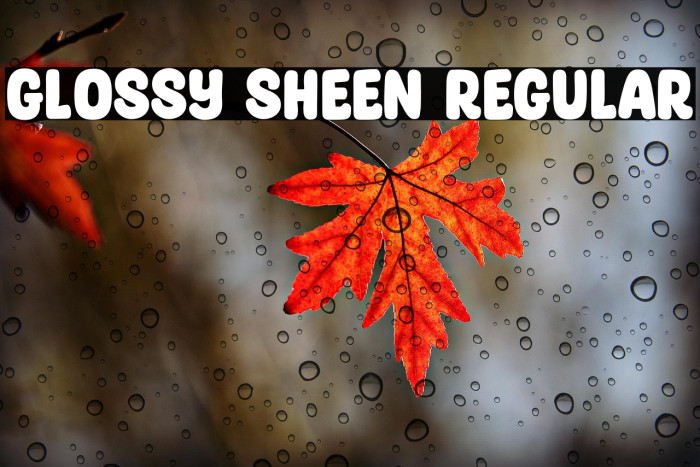 Glossy Sheen Regular Example 1