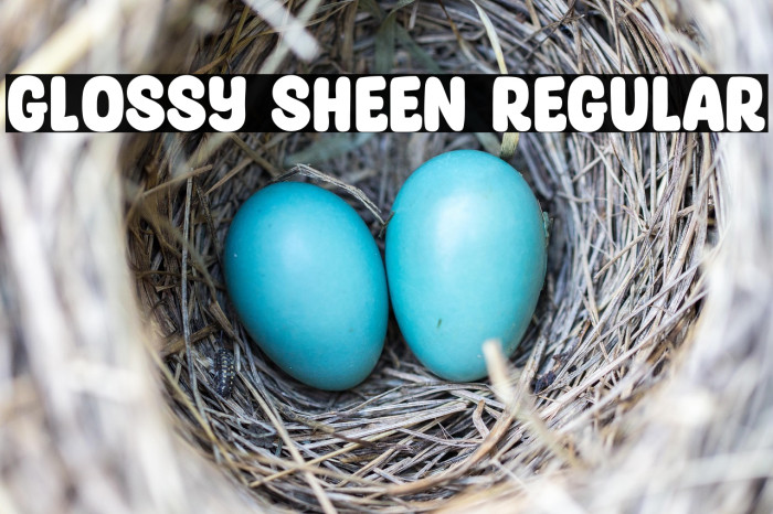 Glossy Sheen Regular Example 2