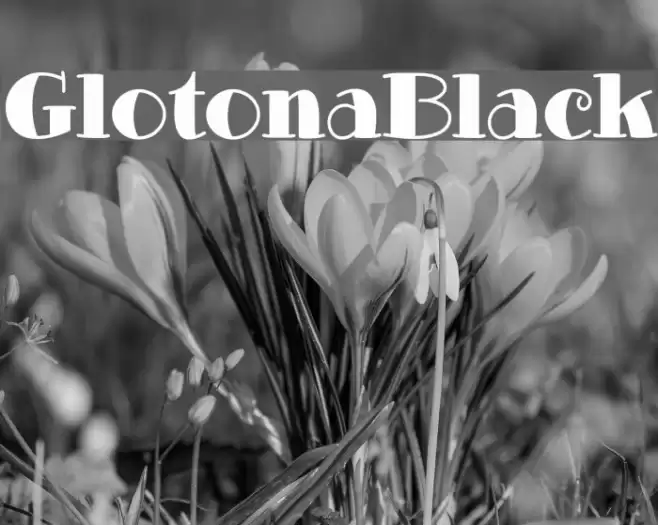 GlotonaBlack Font examples