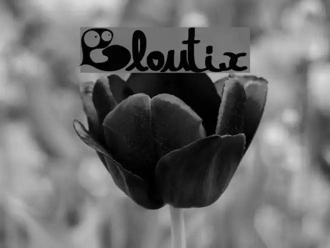 Gloutix Font examples