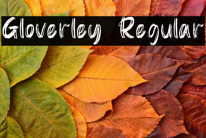 Gloverley  Regular Example 1