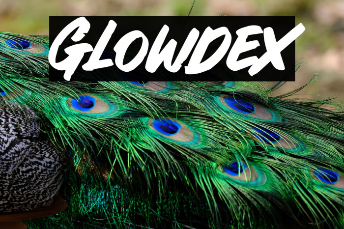 Glowdex Example 2
