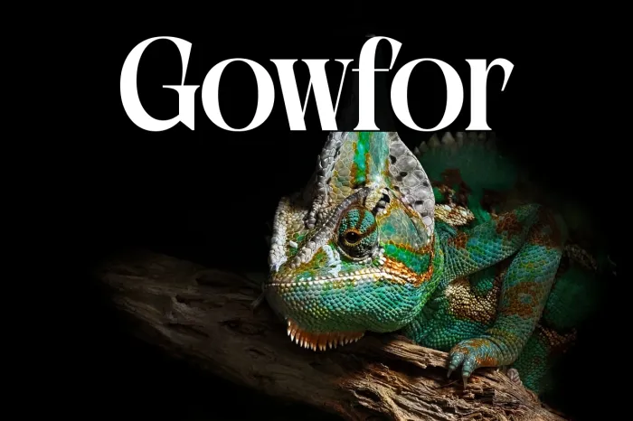 Glowfor Example 3