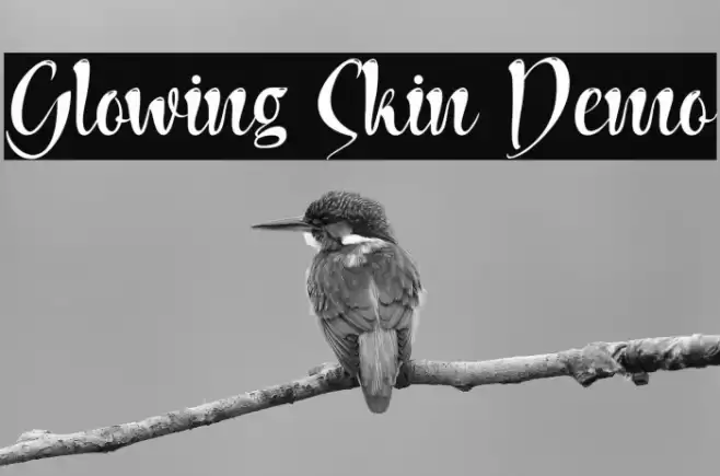 Glowing Skin Demo Font examples
