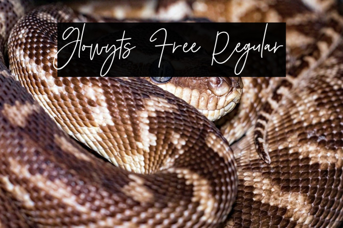 Glowyts Free Regular Example 2