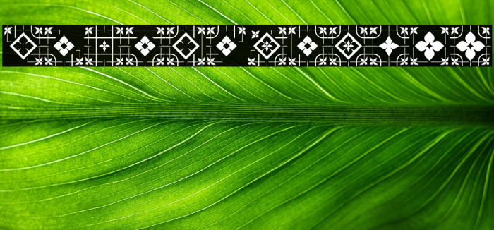 GlukFrames05 Example 2