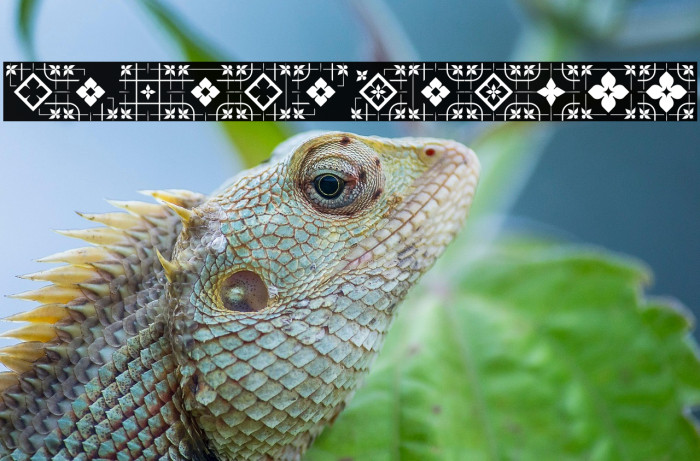 GlukFrames05 Example 3