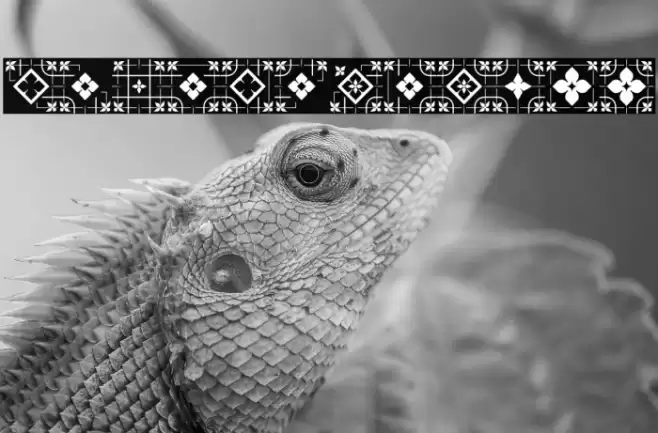 GlukFrames05 Font examples