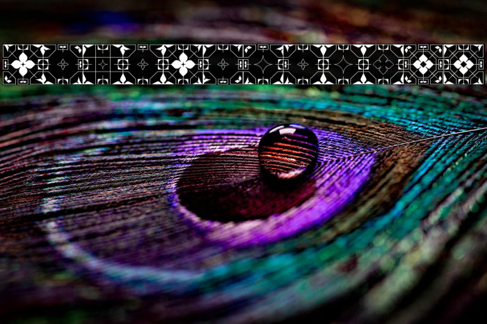 GlukFrames06 Example 1