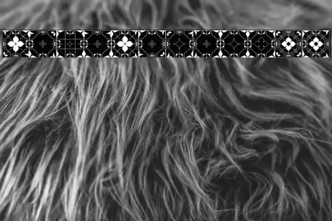 GlukFrames06 Font examples