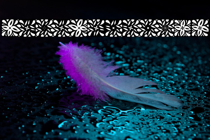 GlukFrames07 Example 3