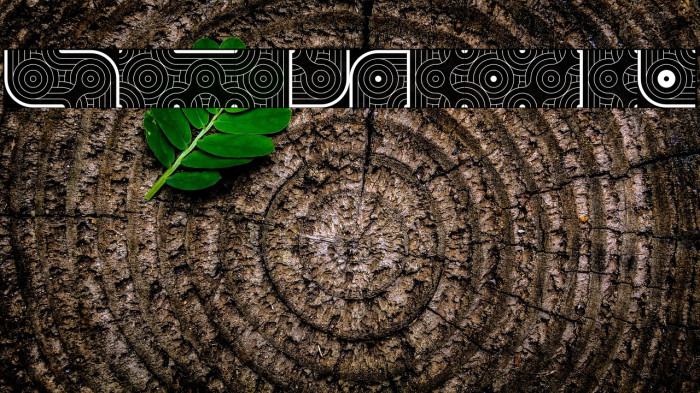 GlukFramesM7 Example 1