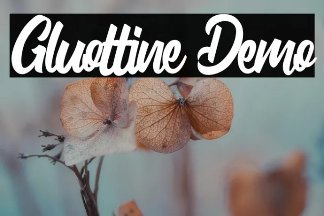 Gluottine Demo Example 1
