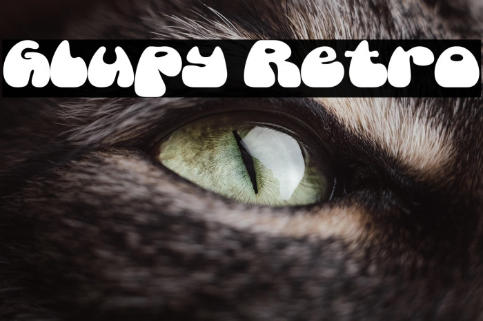 Glupy Retro Example 1