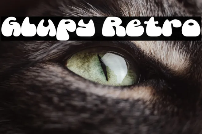 Glupy Retro Example 1
