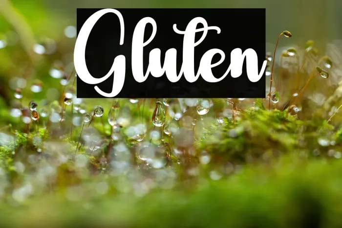 Gluten Example 1