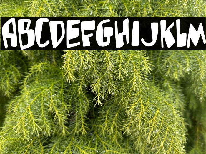 Glutton man Example 2