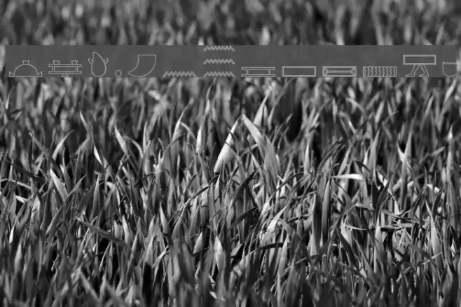 GlyphBasic3 Polices examples