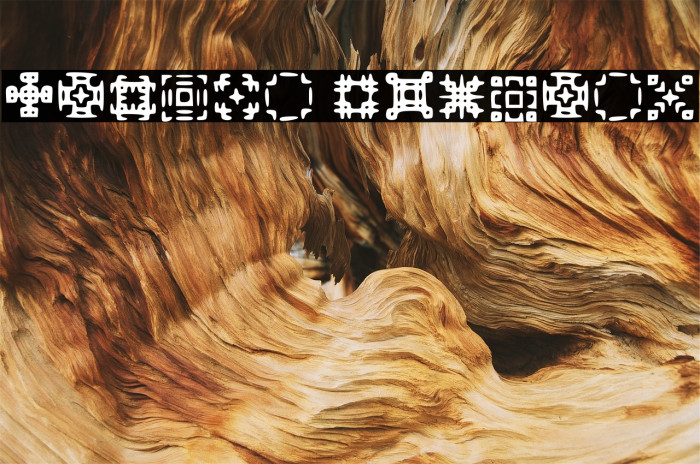 Glypha Regular Font examples