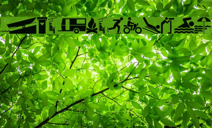 GlyphyxTwoNF Example 1