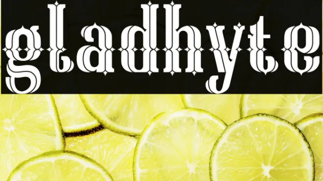 gladhyte Example 2