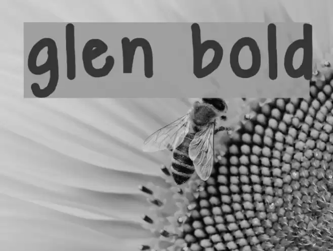 glen bold Font examples