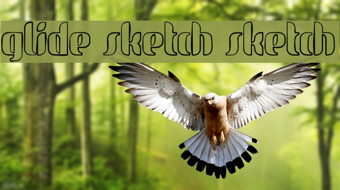 glide sketch sketch Font examples