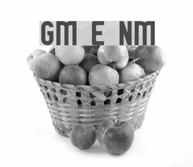 GM Exp Norm フォント examples